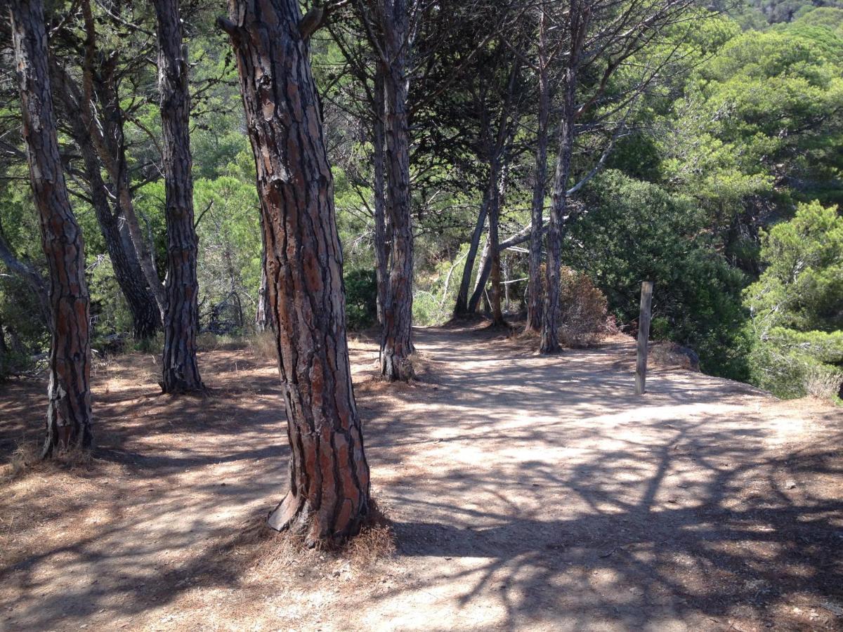 טוסה דה מאר Villa Reymar - Diseno Y Vistas Al Mar מראה חיצוני תמונה